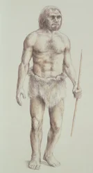 Homme de Néandertal